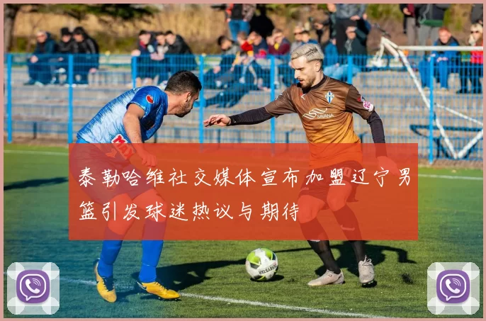 泰勒哈维社交媒体宣布加盟辽宁男篮引发球迷热议与期待