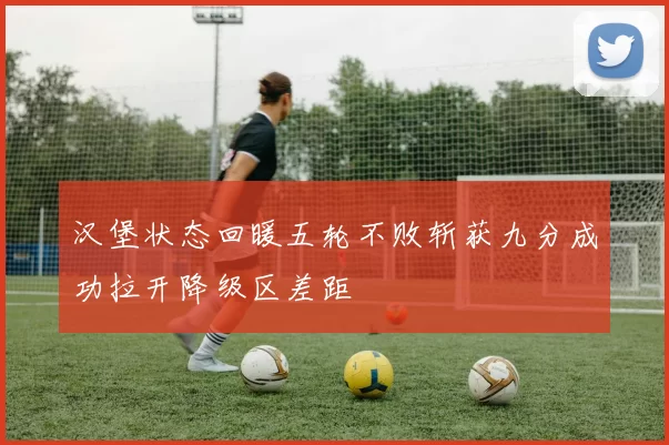 汉堡状态回暖五轮不败斩获九分成功拉开降级区差距