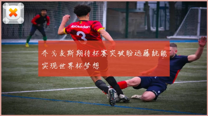 乔戈麦斯期待杯赛突破盼远藤航能实现世界杯梦想